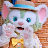 默默吃饭最积极