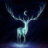 月光照亮鹿与森