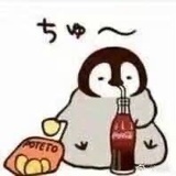 可爱赵