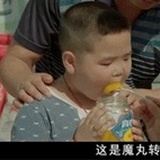 奔跑的大树