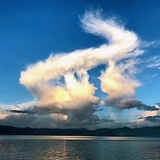 挖坑专业户