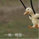 蔷薇星球