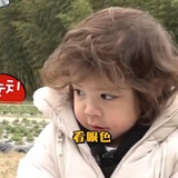 小狗汪汪队