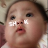 有猫病的狗