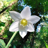 遇见花开