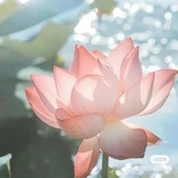 摩西摩西