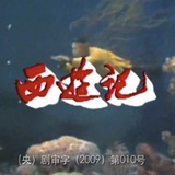 烂木奶奶不开花