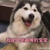 牛奶里的橙汁