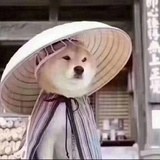 了不起的土豆君