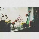 我的太阳