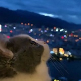 本末