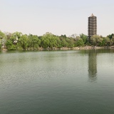 王