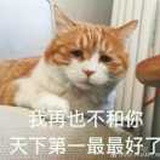 击空明兮溯流光