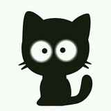 黑夜里的黑猫