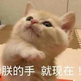 墨爷