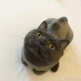 菜菜爱学习