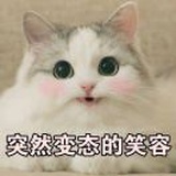 愿愿