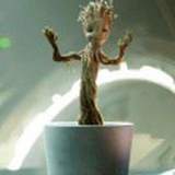 groot