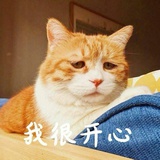 筱筱筱依