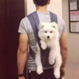 别图小便宜上当