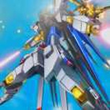 strike freedom