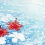 西兰花