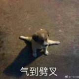 最美晴天