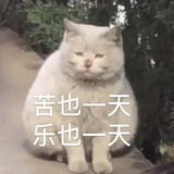 狗牙锅巴