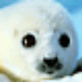 豆友174306464