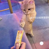 莫名