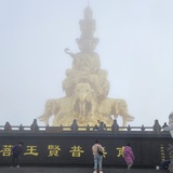 李百年