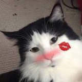 托马四