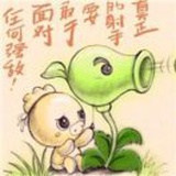 💗绿啊绿啦绿💗