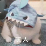 粑粑条