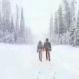冻耳朵的zhu
