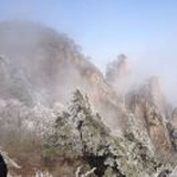 一直都在