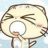 风子阳