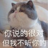 相看两不厌