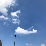 wje