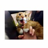 📶疯啦 looooooaa