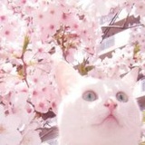 不想起名字啊喂