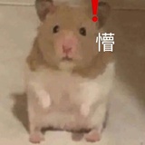 小嫚艾特