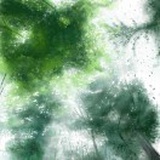 穩得一筆你顧蘭