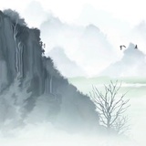 爱睡觉的猫