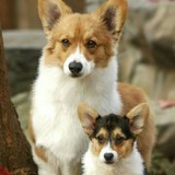 小小年纪的哈哈