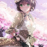 糊涂囧公主