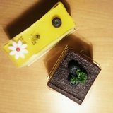 几知