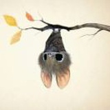 棠棣、