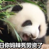 春三