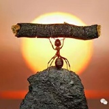 想不到满意的id